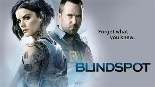 《盲点第四季》全集高清迅雷下载/Blindspot Season 4